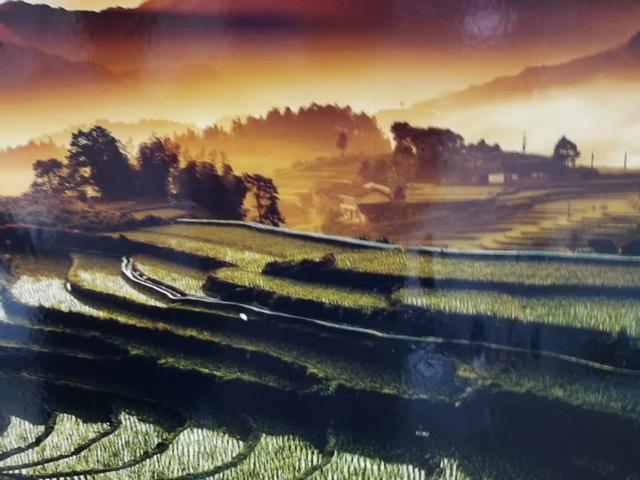 舜皇山上话梯田