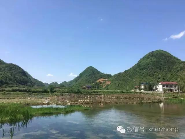 投笔从戎为大同， 红军战士何国桢
