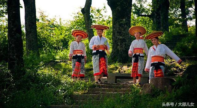 隆回虎形山“花瑶”到底是从哪里来的？