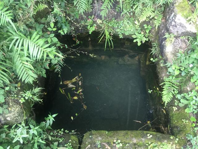 一碗乡愁与回忆，美味邵阳隆回土菜
