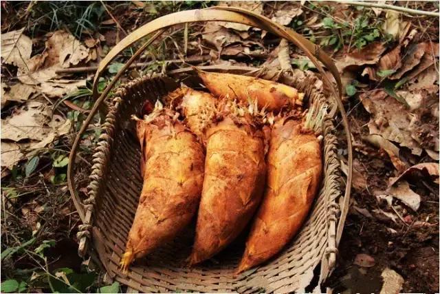 这70种邵阳野货，吃过30种的才算正宗邵阳人！