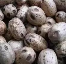 这70种邵阳野货，吃过30种的才算正宗邵阳人！