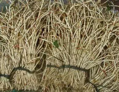 这70种邵阳野货，吃过30种的才算正宗邵阳人！