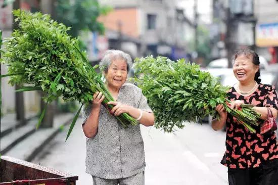 这70种邵阳野货，吃过30种的才算正宗邵阳人！