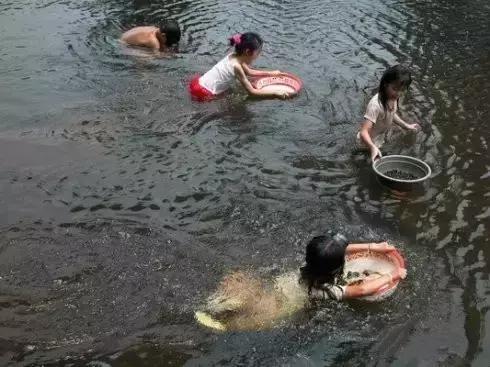 这70种邵阳野货，吃过30种的才算正宗邵阳人！