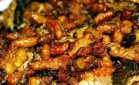 这70种邵阳野货，吃过30种的才算正宗邵阳人！