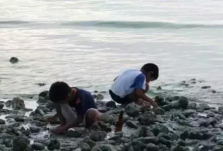 这70种邵阳野货，吃过30种的才算正宗邵阳人！