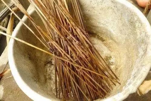 这70种邵阳野货，吃过30种的才算正宗邵阳人！