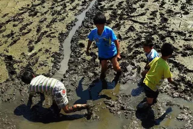 这70种邵阳野货，吃过30种的才算正宗邵阳人！