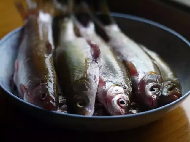 这70种邵阳野货，吃过30种的才算正宗邵阳人！