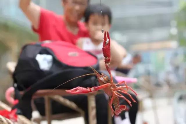 这70种邵阳野货，吃过30种的才算正宗邵阳人！