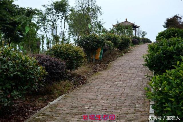 奇美邵阳之东方新绿洲北塔生态园