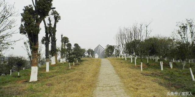 奇美邵阳之东方新绿洲北塔生态园