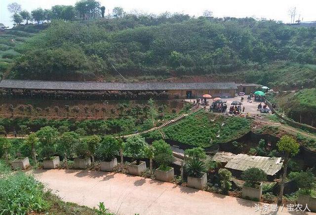 奇美邵阳之东方新绿洲北塔生态园
