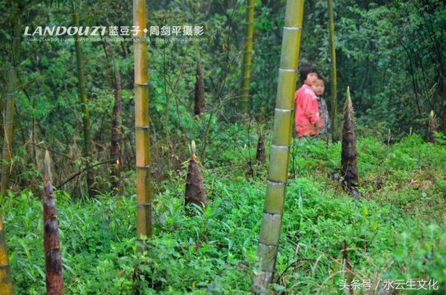 秀色可餐：实（食）在武冈，可以吃的武冈风景