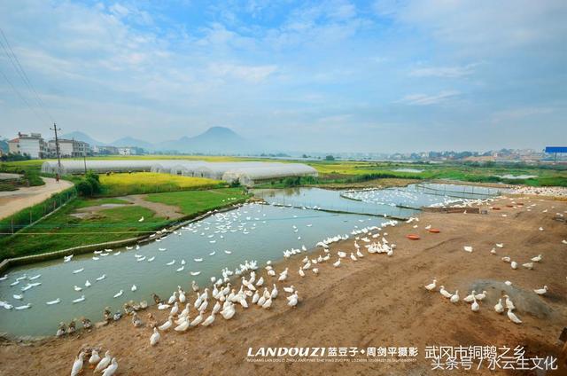 秀色可餐：实（食）在武冈，可以吃的武冈风景