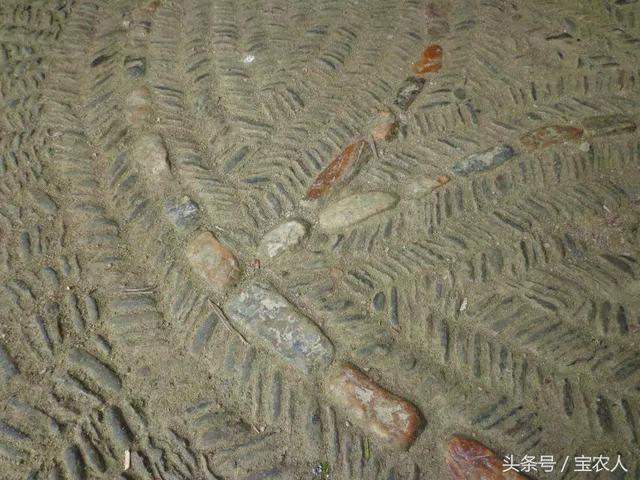 记忆中的罗溪瑶族乡宝瑶古寨，你的美在我心！