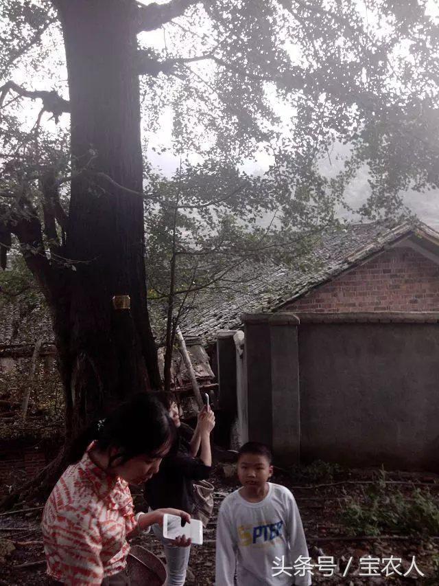 记忆中的罗溪瑶族乡宝瑶古寨，你的美在我心！