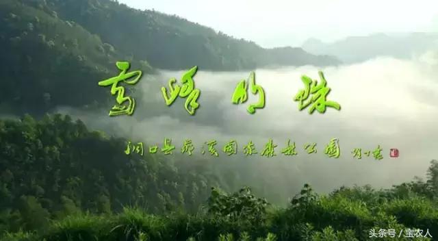 记忆中的罗溪瑶族乡宝瑶古寨，你的美在我心！