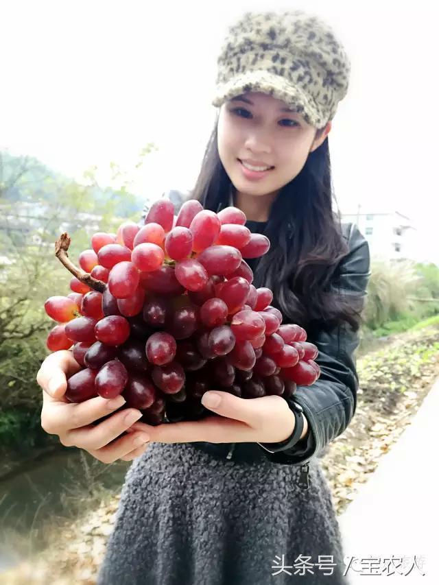 奇美邵阳之绥宁乡间，金秋醉美