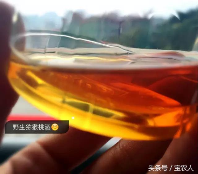 奇美邵阳之绥宁乡间，金秋醉美