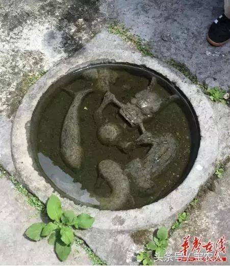 新邵坪上·张氏宗祠：忠诚报国、孝友传家的教化意义