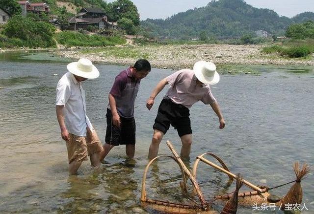 走遍天南海北，还是忘不了洞口味道！