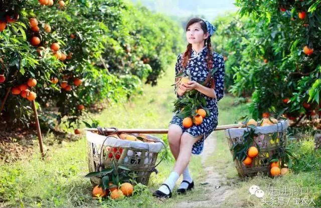 洞口印象——舌尖上的洞口