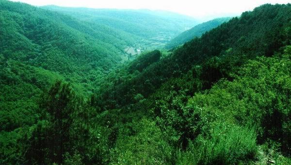 魅力幸福邵东 生态宜居家园