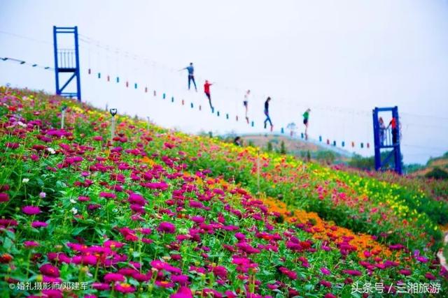 邵阳有个2千亩花海，号称“花玩国”，胜过迪世乐园