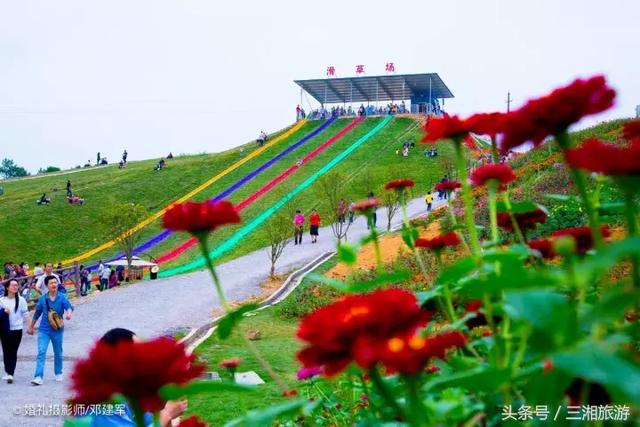 邵阳有个2千亩花海，号称“花玩国”，胜过迪世乐园
