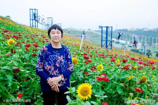 邵阳有个2千亩花海，号称“花玩国”，胜过迪世乐园