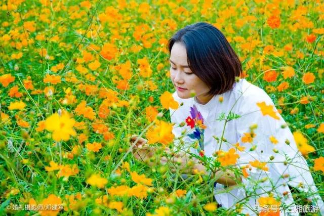 邵阳有个2千亩花海，号称“花玩国”，胜过迪世乐园