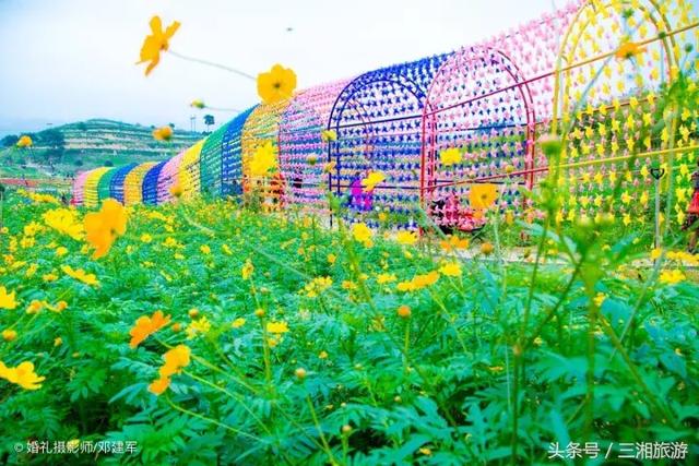 邵阳有个2千亩花海，号称“花玩国”，胜过迪世乐园