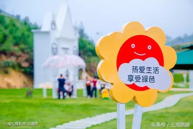 邵阳有个2千亩花海，号称“花玩国”，胜过迪世乐园
