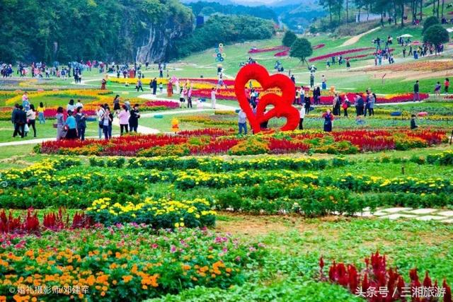 邵阳有个2千亩花海，号称“花玩国”，胜过迪世乐园