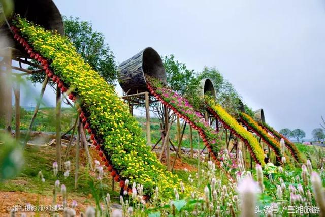 邵阳有个2千亩花海，号称“花玩国”，胜过迪世乐园