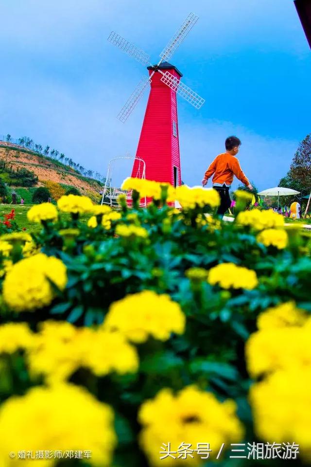 邵阳有个2千亩花海，号称“花玩国”，胜过迪世乐园