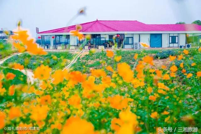 邵阳有个2千亩花海，号称“花玩国”，胜过迪世乐园