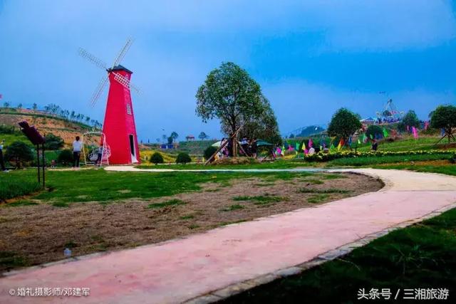 邵阳有个2千亩花海，号称“花玩国”，胜过迪世乐园
