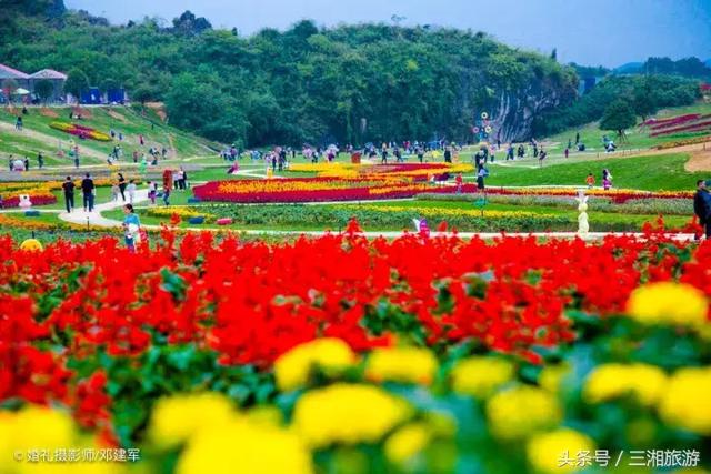邵阳有个2千亩花海，号称“花玩国”，胜过迪世乐园