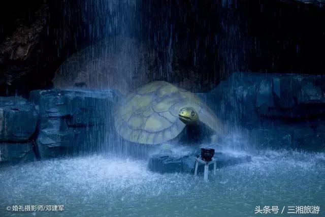 邵阳有个2千亩花海，号称“花玩国”，胜过迪世乐园