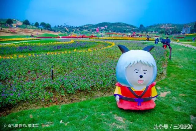 邵阳有个2千亩花海，号称“花玩国”，胜过迪世乐园