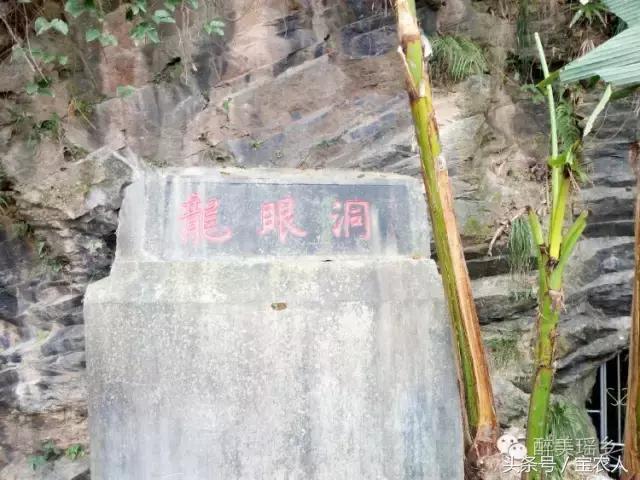 奇美邵阳，魅力洞口——洞口塘的风景