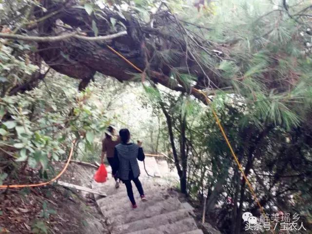 奇美邵阳，魅力洞口——洞口塘的风景