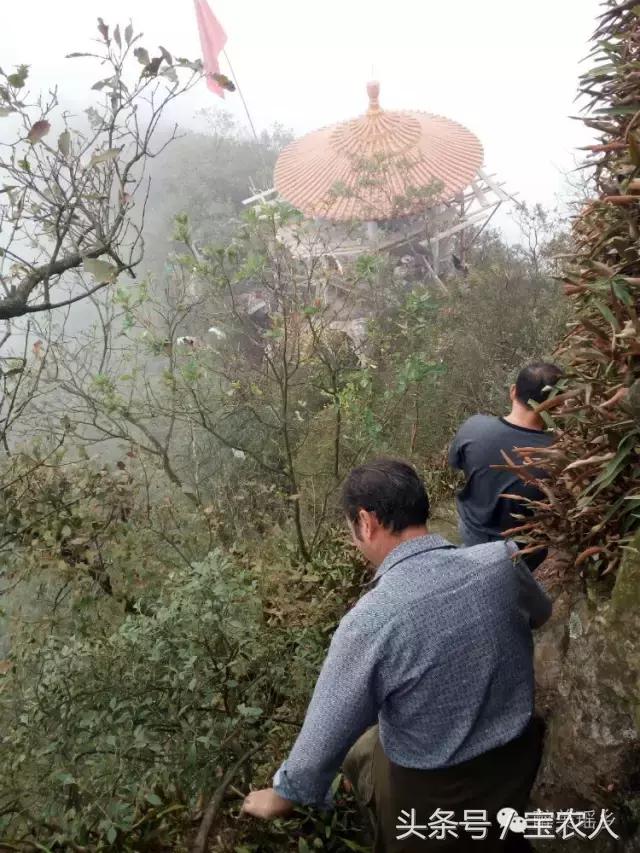 奇美邵阳，魅力洞口——洞口塘的风景