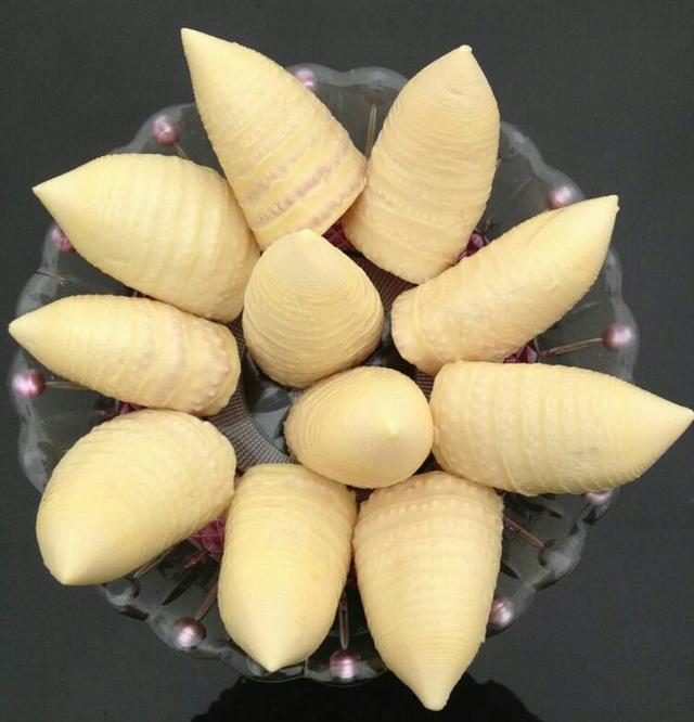 舌尖美味：苗乡城步一年四季竹笋飘香