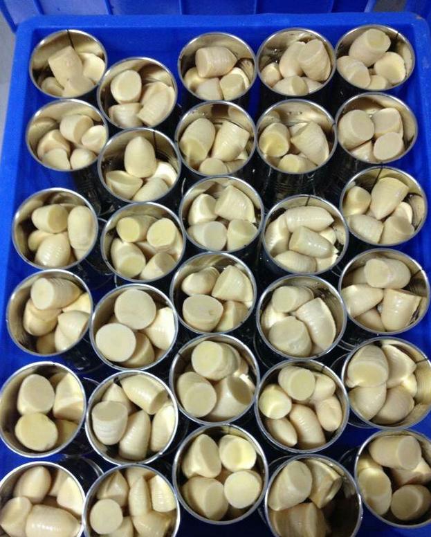 舌尖美味：苗乡城步一年四季竹笋飘香