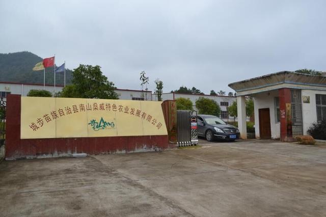 舌尖美味：苗乡城步一年四季竹笋飘香