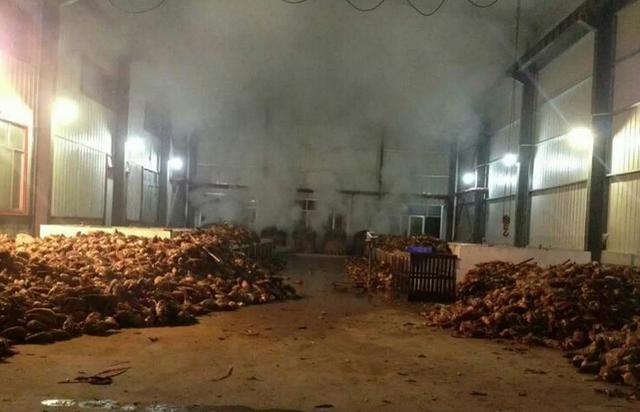舌尖美味：苗乡城步一年四季竹笋飘香